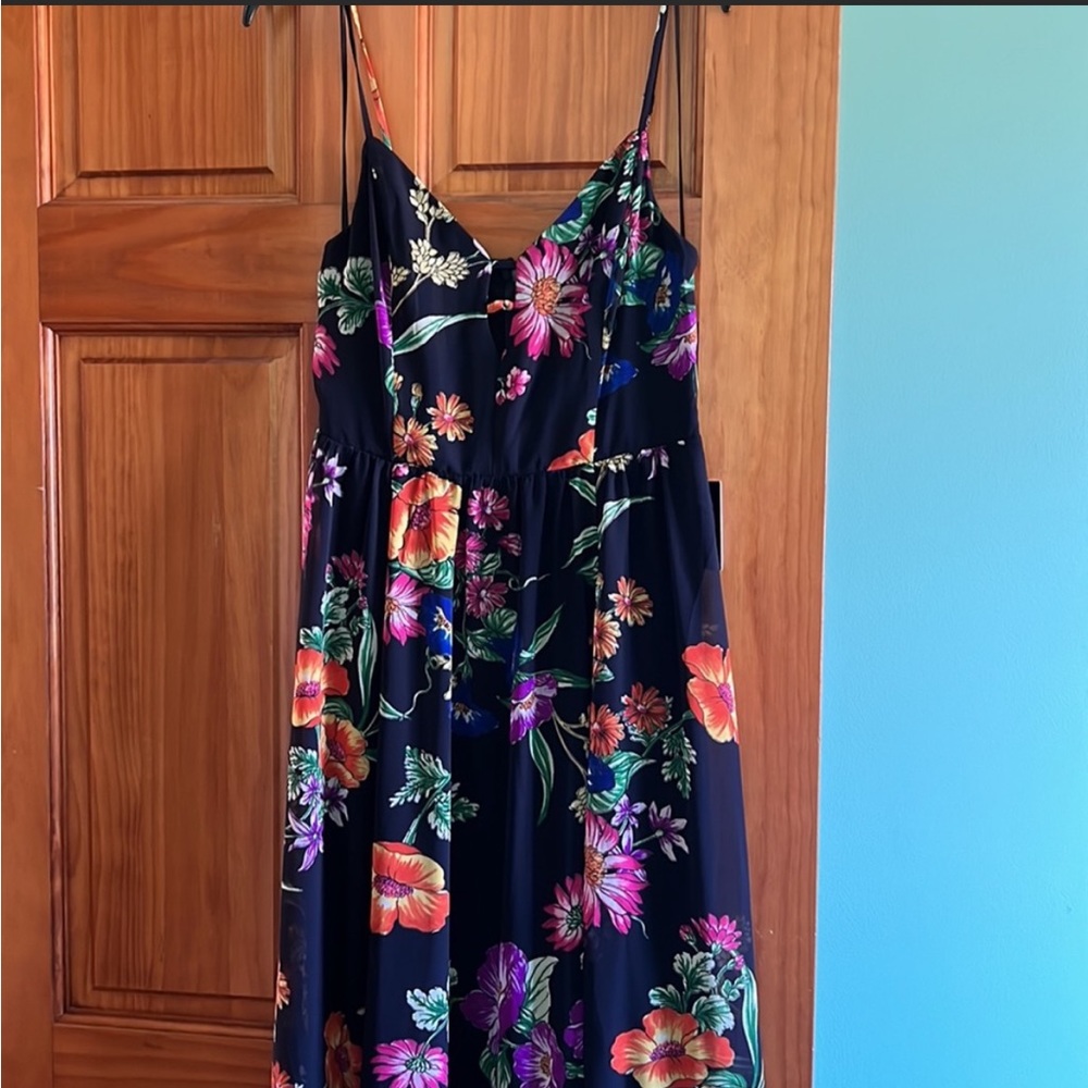 Express floral maxi dress
